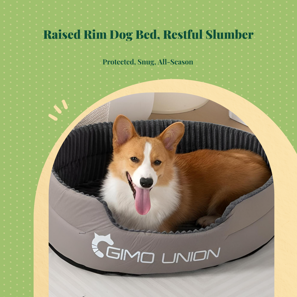 Orthopedic washable dog bed
