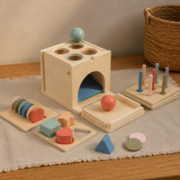 Four-in-Single Shape Sorting Toy Fine Hand Coordination Skills Wooden Color
