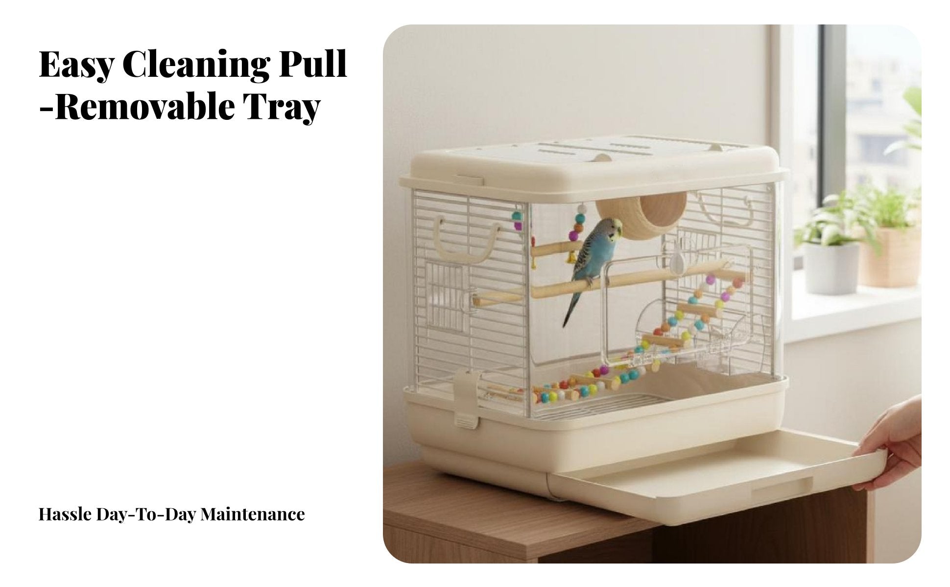 Transparent Parakeet Habitat Openable Top Transparent Bird Box Simple