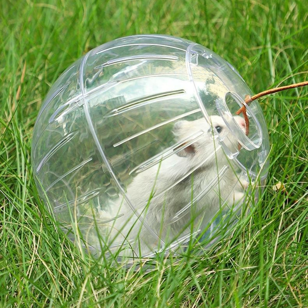 Clear Hamster Ball Outdoor Use Hamster Exercise Sphere Secure and for Hamsters, Indoor