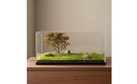 1/64 Scale Model Display Case High Clarity Rugged-Road Scene Display Scene Box