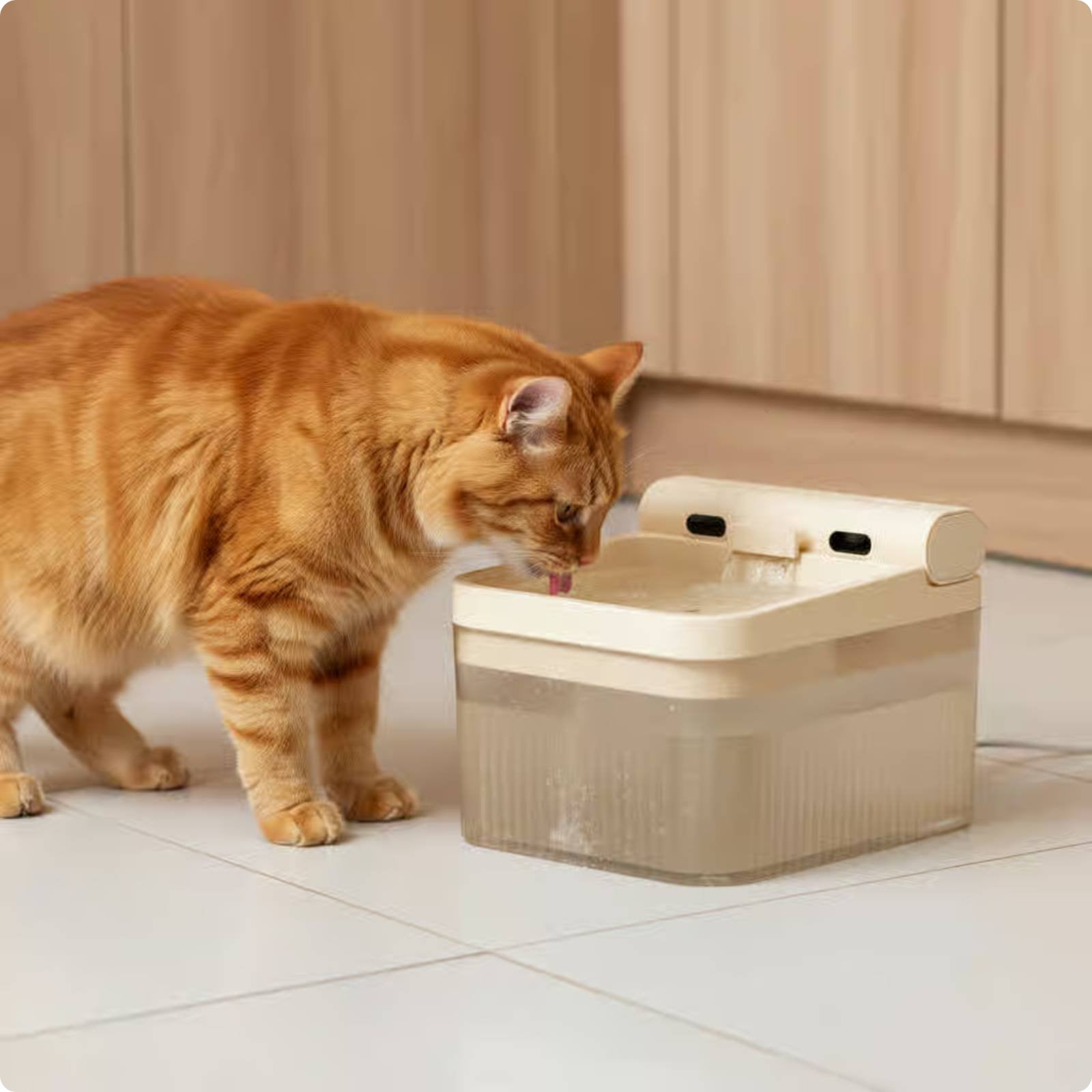 4L Cat Water Dispenser Automatic Cat Waterer Automatic Pet Water Dispenser for Home