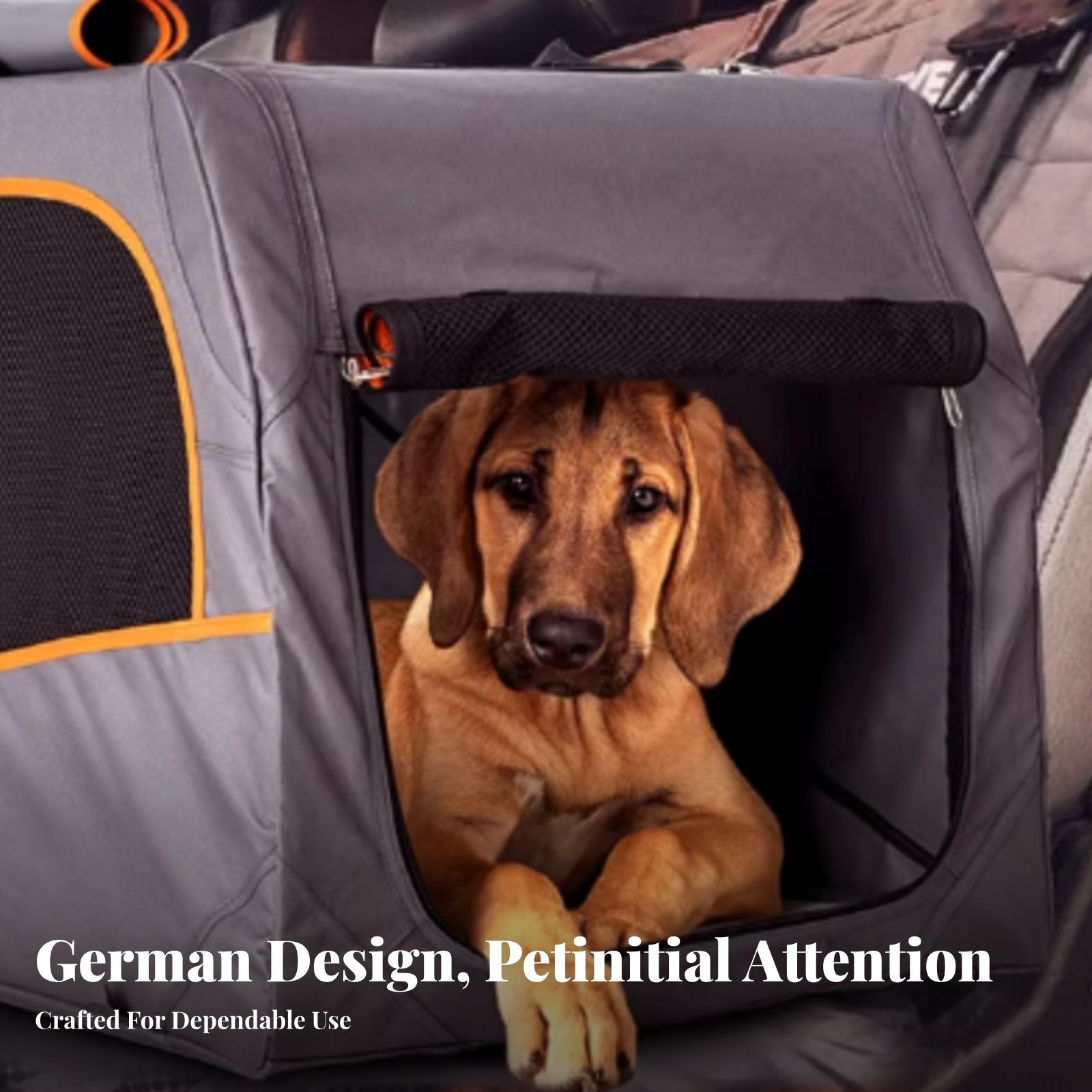 Foldable Fabric Pet Crate Portable Dog Kennel Lightweight for Outdoor, Travelers