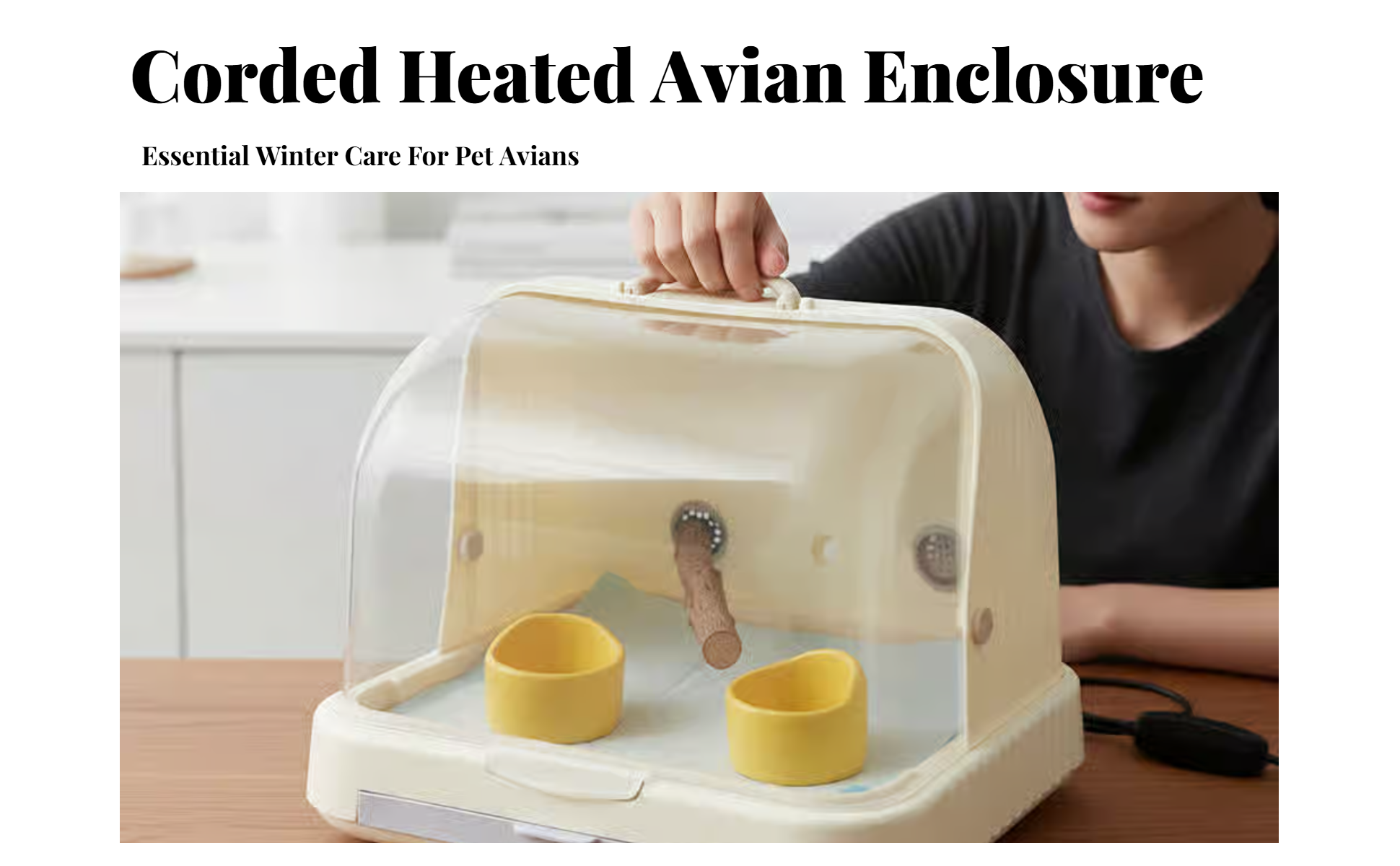 Pet Incubator, Thermostat, Timer, Brooder, Newborn Animals