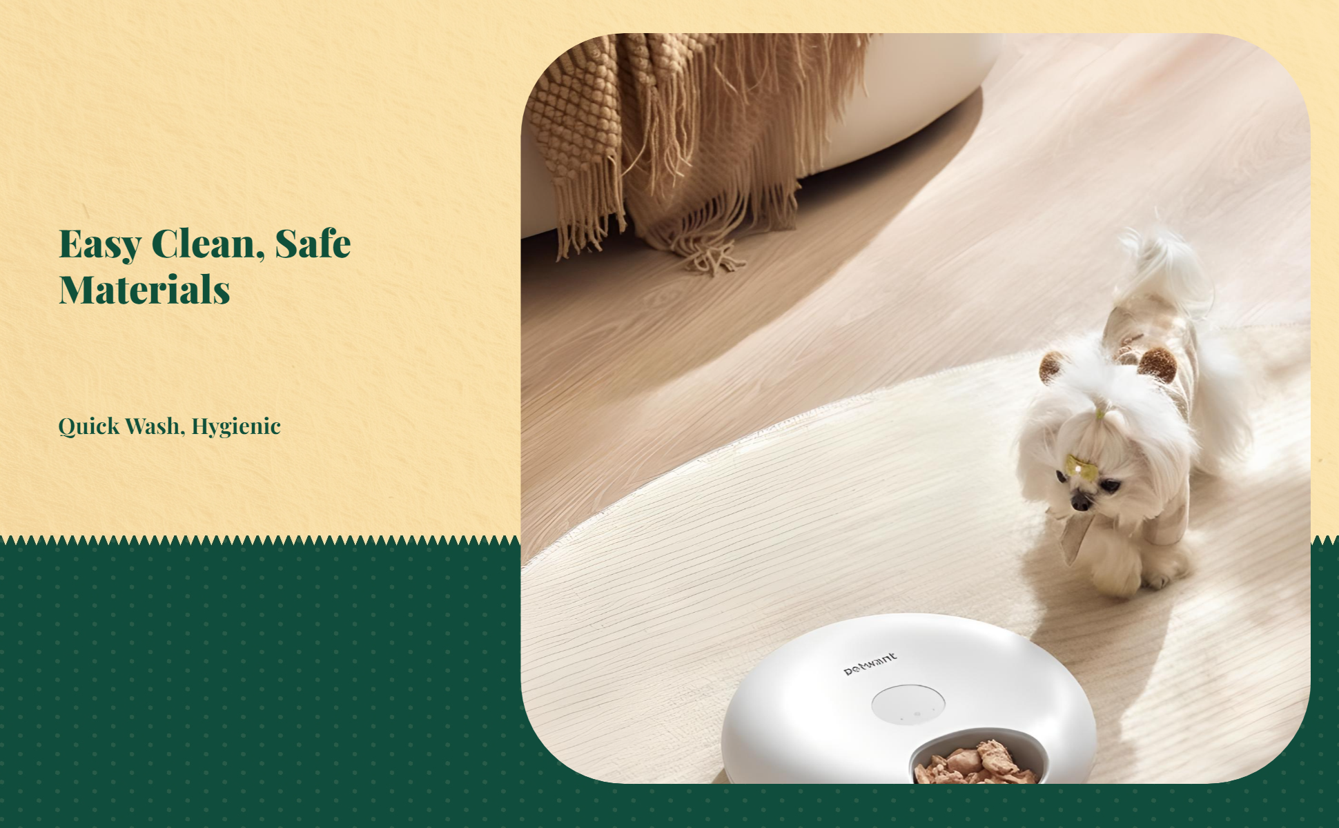 Programmable wet food cat feeder