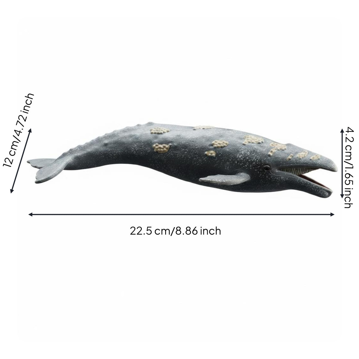 Realistic Animal Model Educational Marine Mammal Toy Cetacean Figure Model for Learning