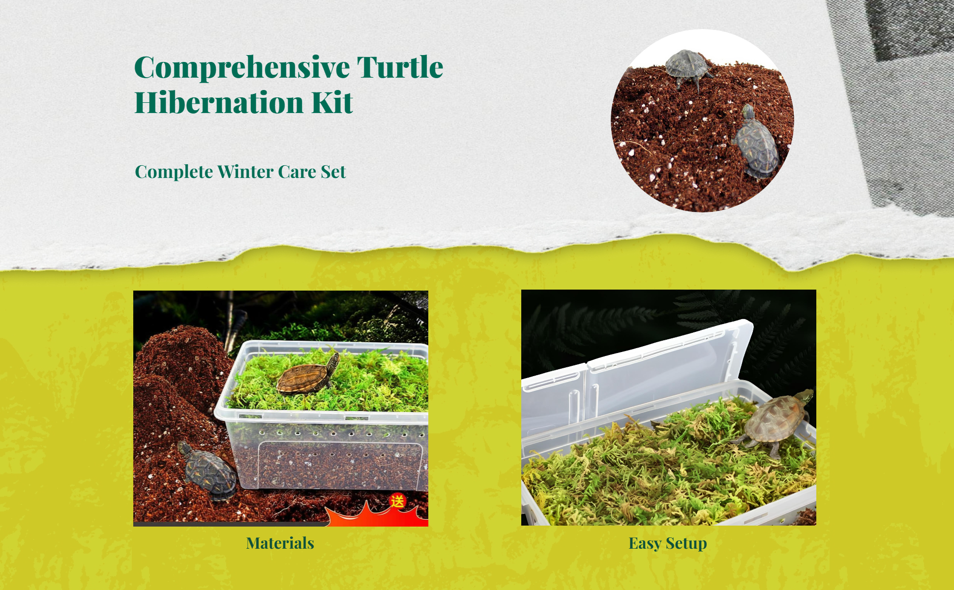 Tortoise hibernation box with coconut soil