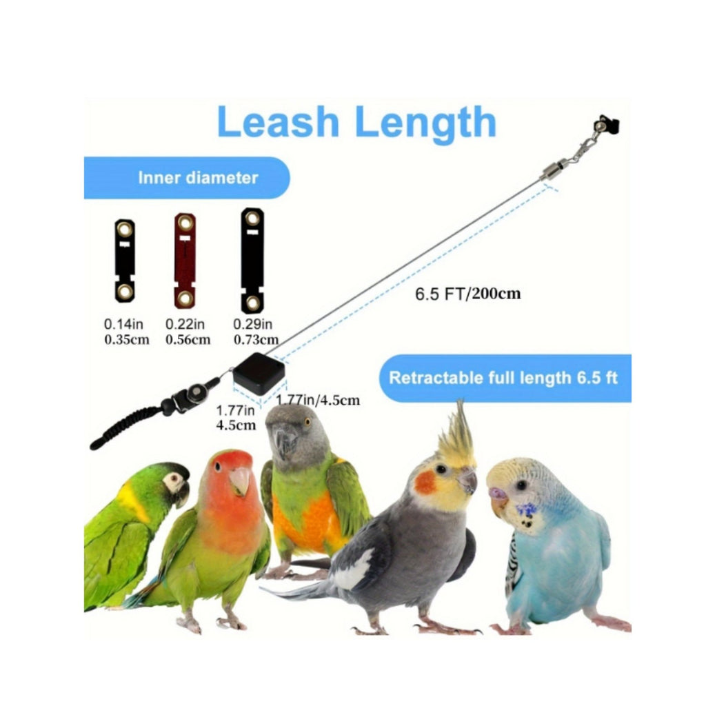 Parrot Harness Leash Adjustable Parrot Training Harness Lightweight