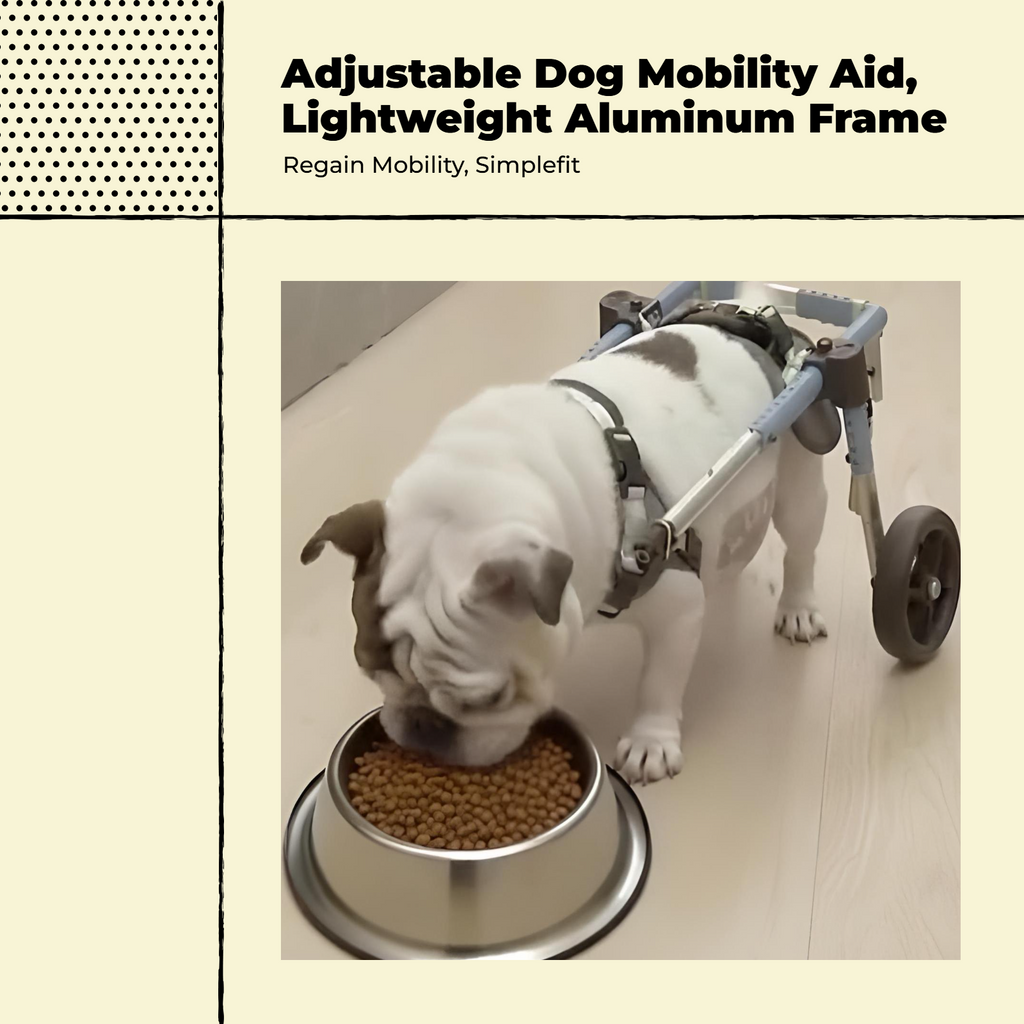 Adjustable hind leg dog cart, sturdy