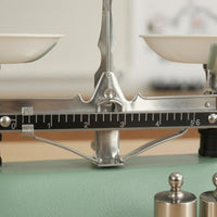 Tray Central Pointer Classroom Balance Scale Storage Box School Lab Apparatus for Teachers, Students