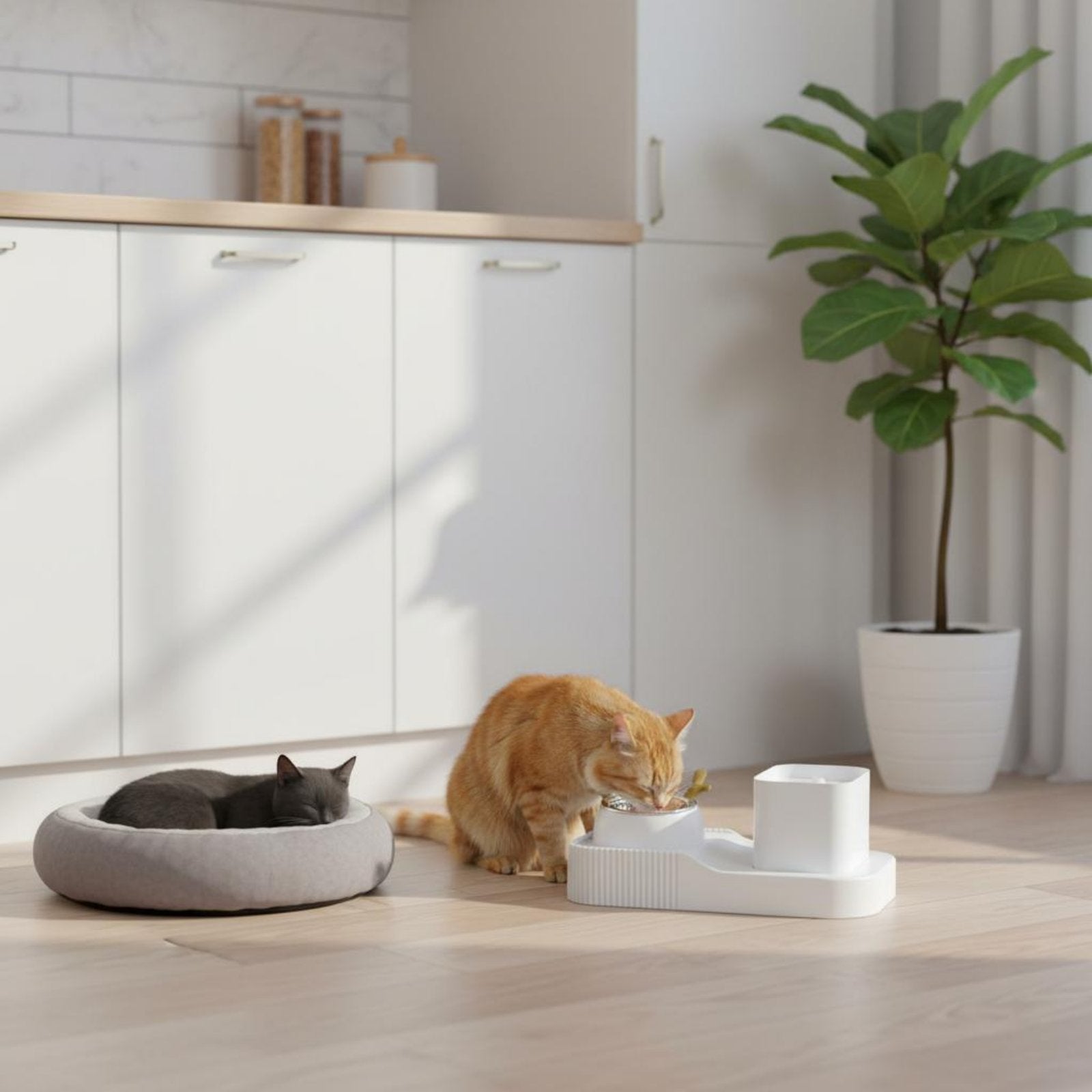 2-in-1 Pet Feeder Double Use Water Fountain Bowl Large Capacity for Cats