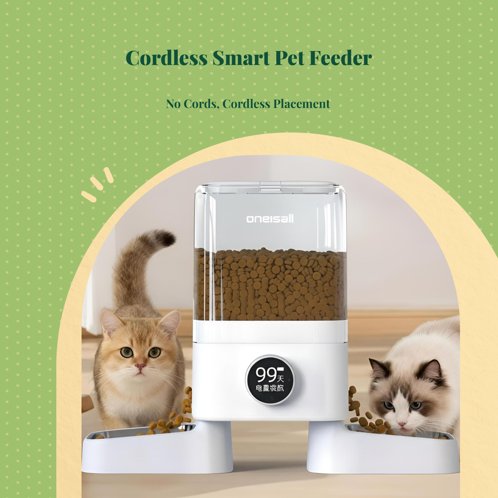 App-controlled automatic feeder