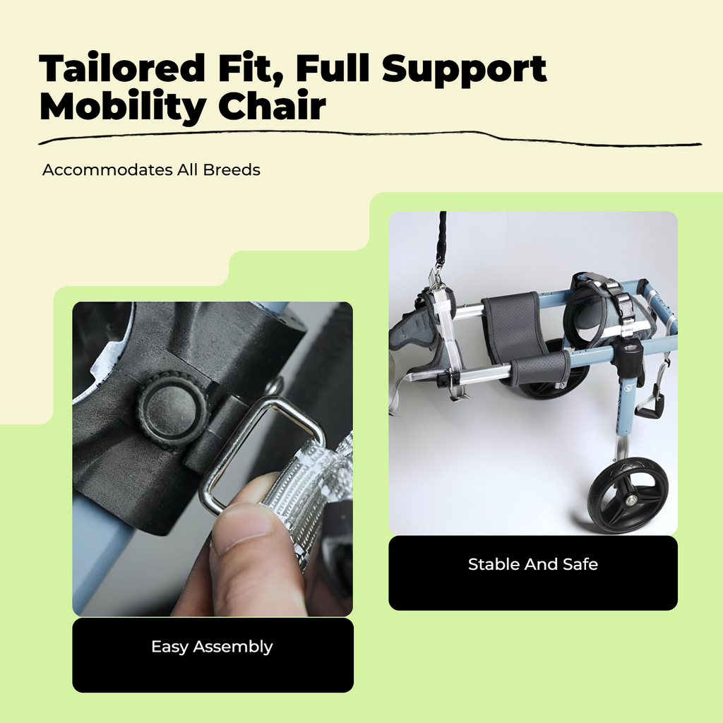 Adjustable hind leg dog cart, sturdy