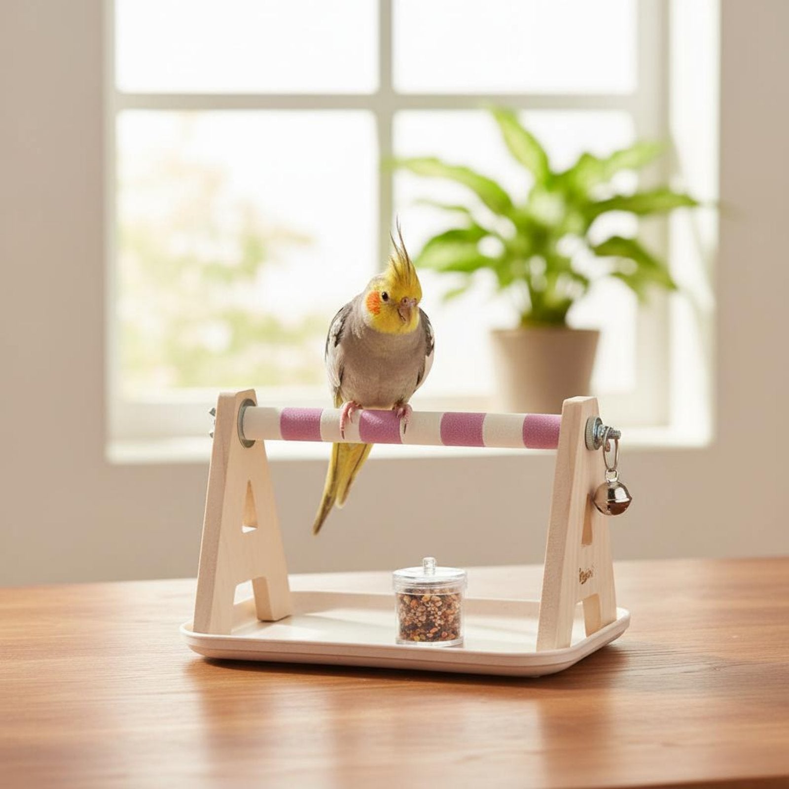 Frosted Parrot Grinding Stand Gnaw Bird Training Gym Non-Shedding Grit Wooden Bird Training Playstand for Parakeets, Small Birds