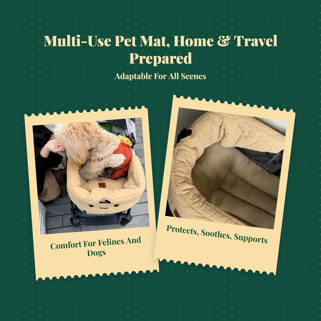 Removable, washable pet stroller mat