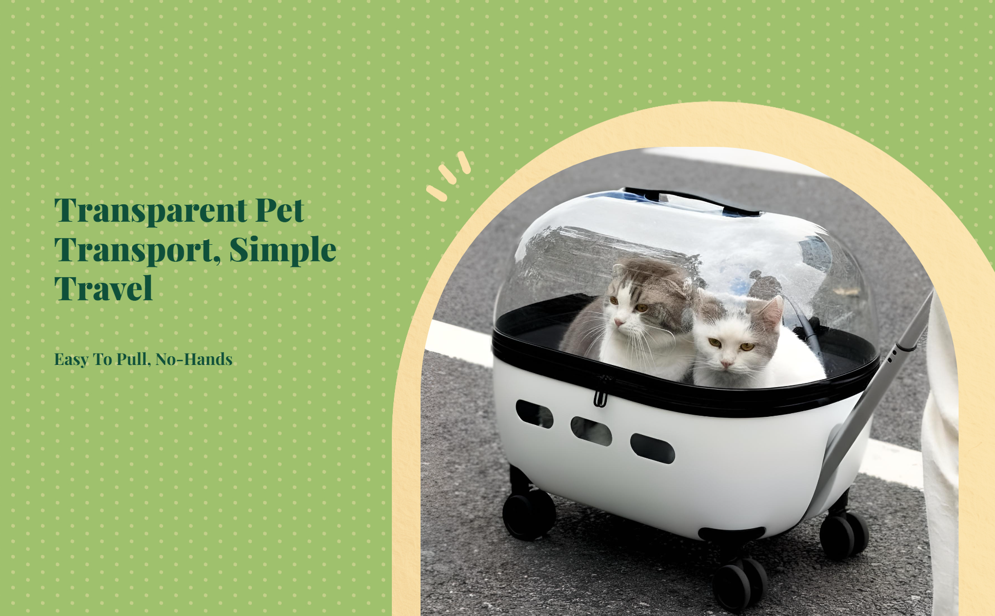 Expandable foldable pet carrier