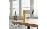 Brass Alto Saxophone Mouthpiece Includes Ligature and Cap Alto Sax Mouthpiece