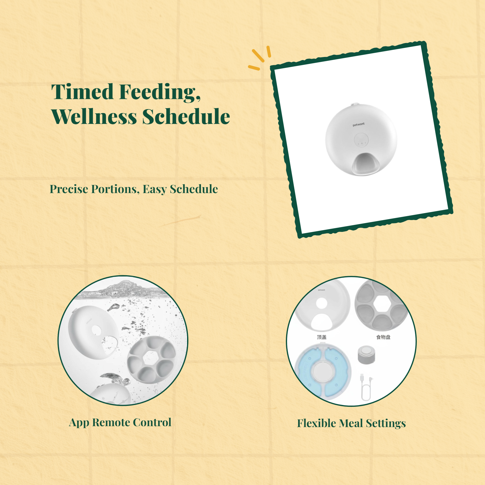 Programmable wet food cat feeder