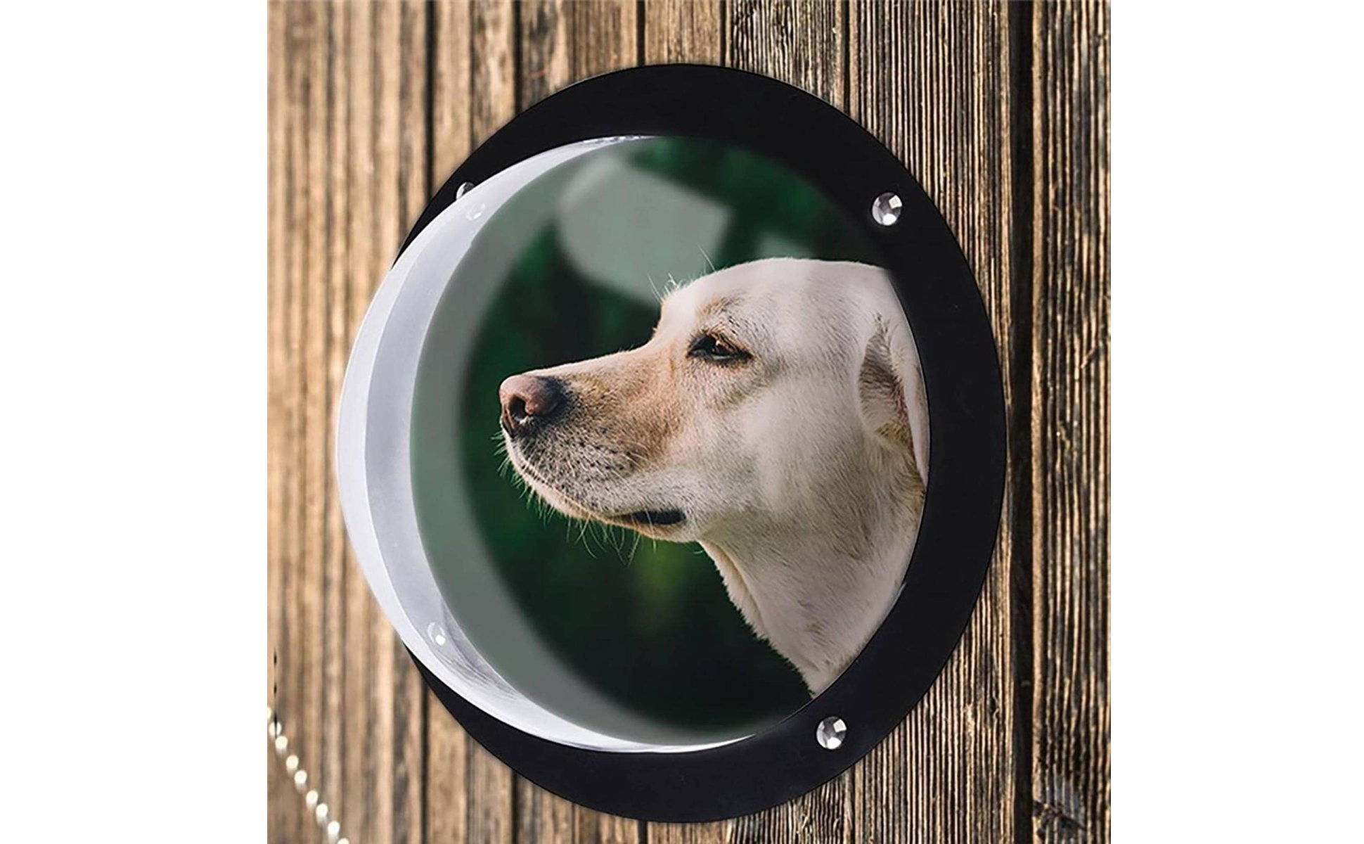2x Clear Acrylic Bubble Window Half Round Transparent Pet Fence Window for Door