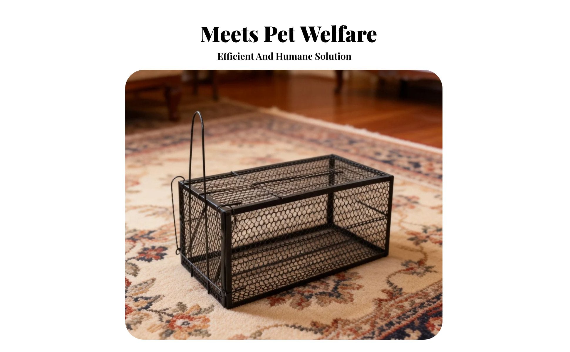 Folding feline enclosure Sensitive actuator wildlife containment unit firmly fastenedresistant fastening mechanism for Garden