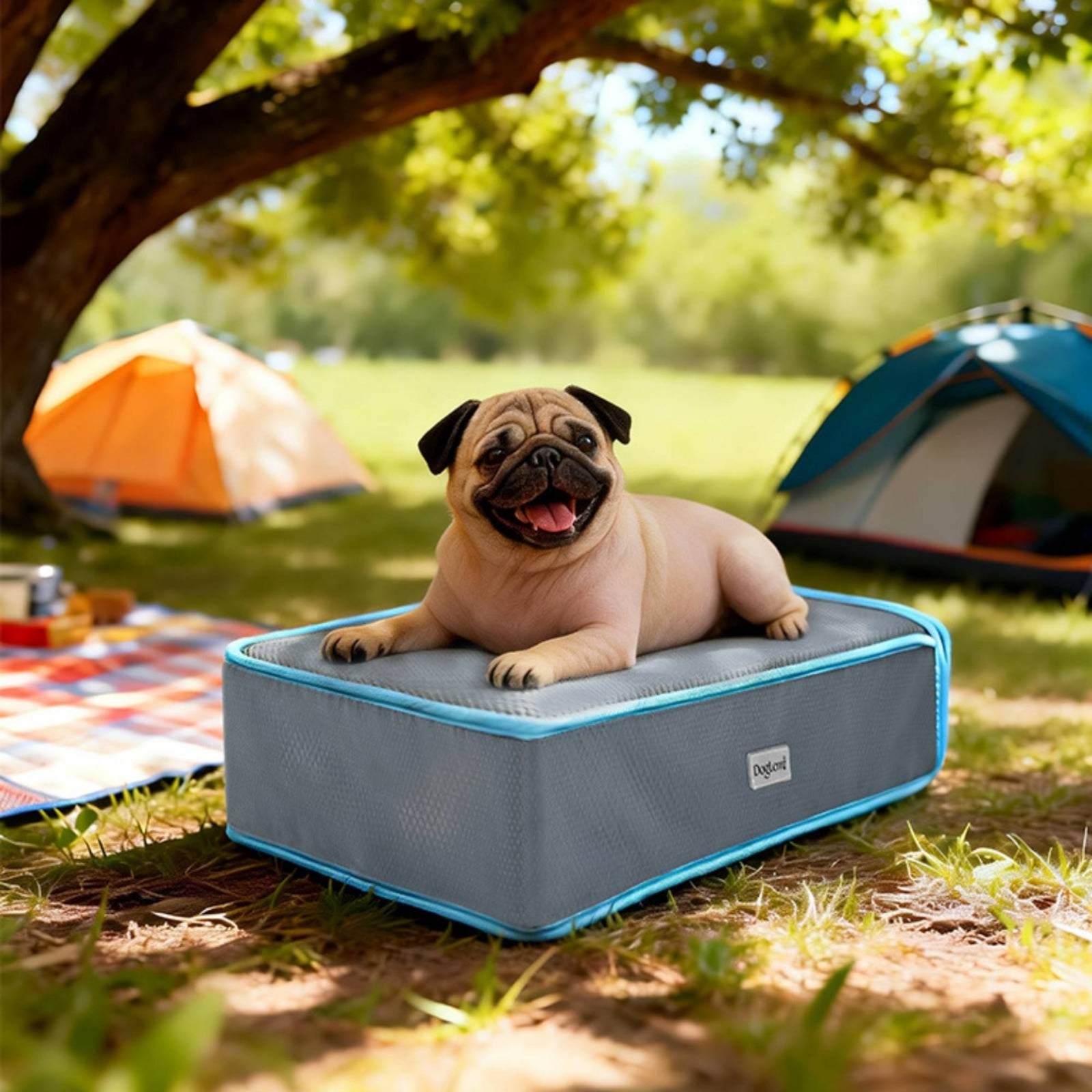 Cooling Dog Bed Low-Height Small Dog Bed Removable