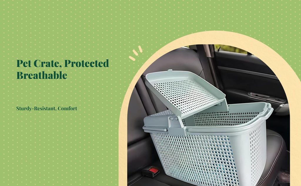 Foldable double pet travel carrier