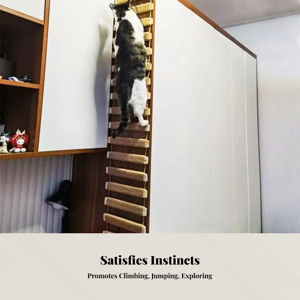 Cat Climbing Rope Ladder, Bridge Ladder, Multi-Use Hanging Scratcher for Cat Enclosure or Wardrobe