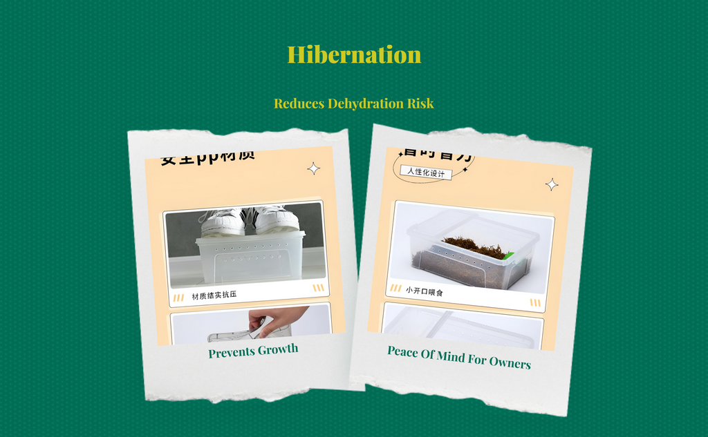 Turtle hibernation box retains moisture