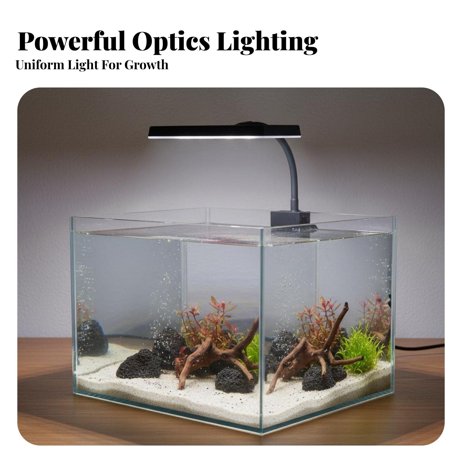 Full Spectrum Aquatic Aquarium Vessel Light Color Enhancing LED Snap-on Aquarium