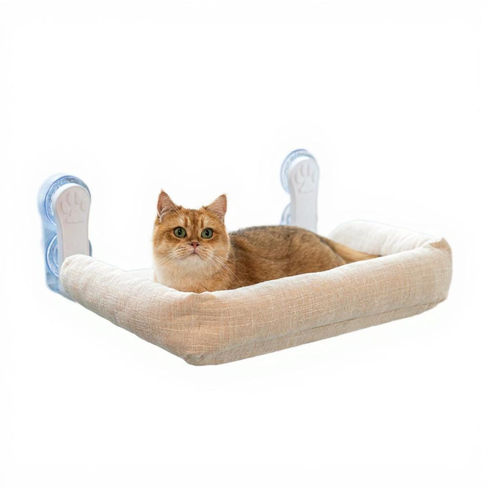 Cat shelf with suction mount.