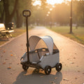 Small Pet Stroller Outdoor Use Foldable Pet Stroller for Park