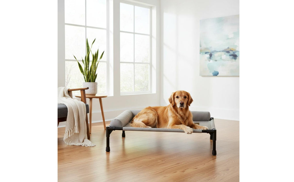Elevated Pet Bed All-Season Use Raised Dog and Cat Bed Pet Cot Moisture-Resistant Easy to Clean for Dogs, Travel, Patio