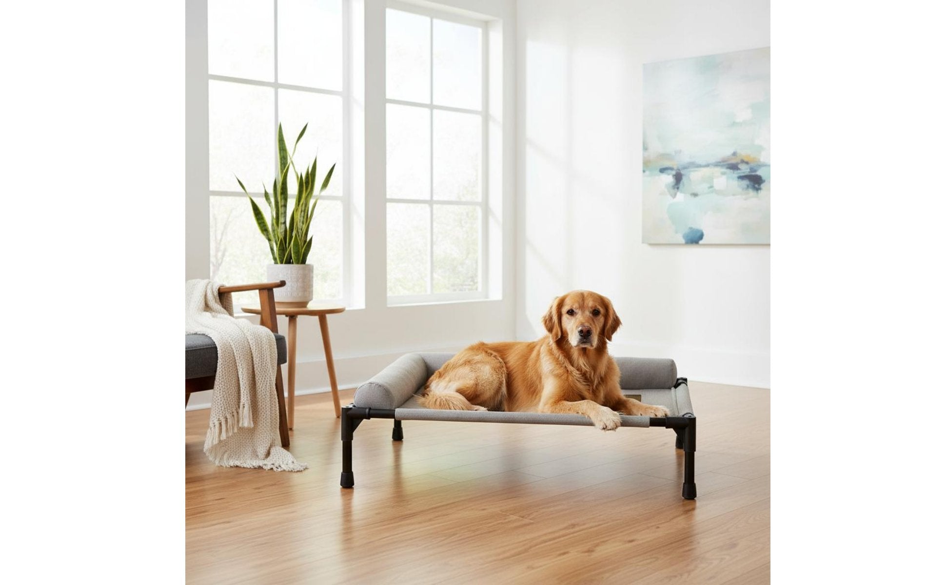 Elevated Pet Bed All-Season Use Raised Dog and Cat Bed Pet Cot Moisture-Resistant Easy to Clean for Dogs, Travel, Patio