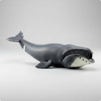 Realistic Bowhead Marine Mammal Model Educational Bowhead Marine Mammal Figurine Collectible Animal Figure for Classroom