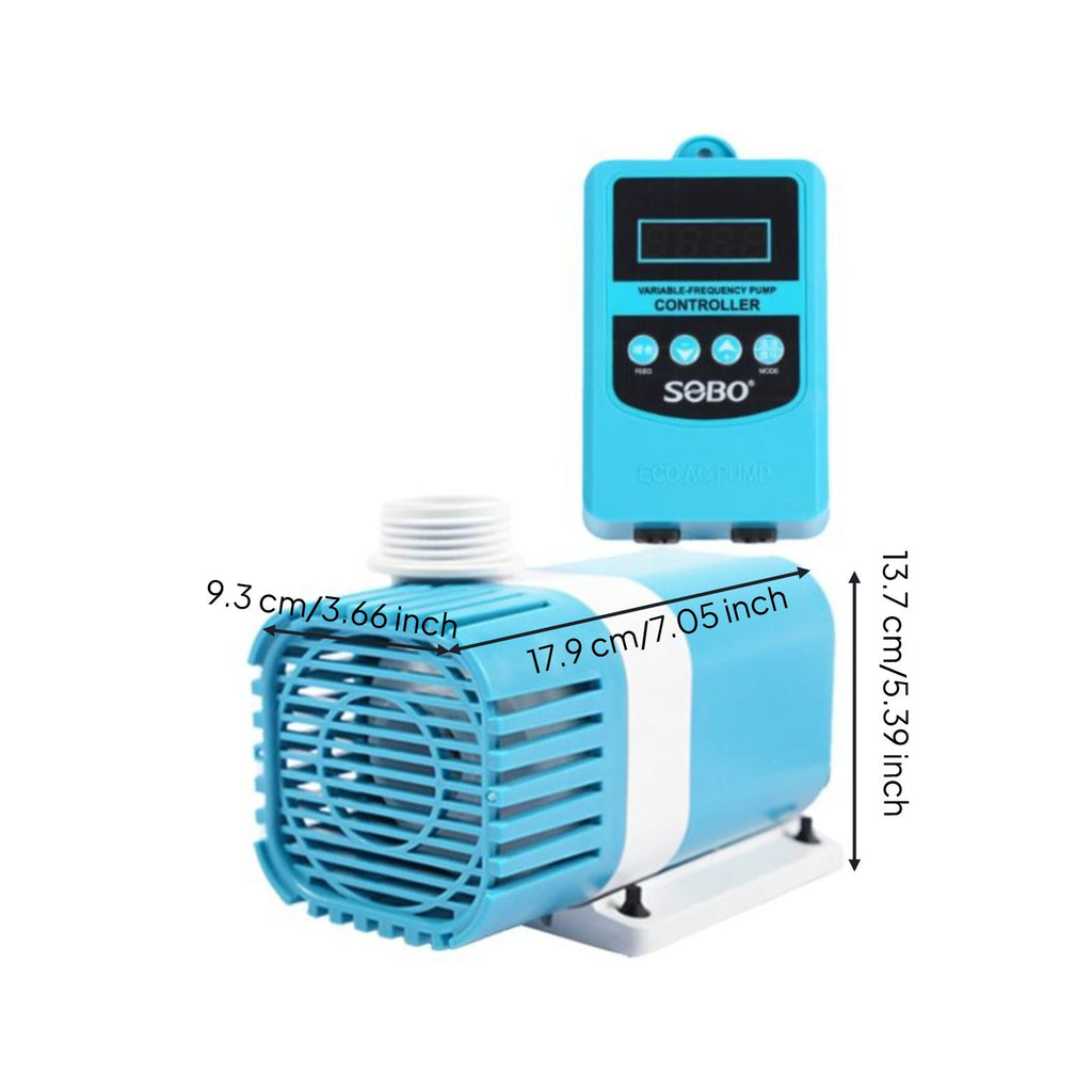 High-power quiet pump for tanks