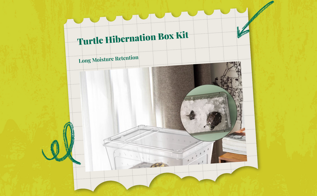 Turtle hibernation box retains moisture