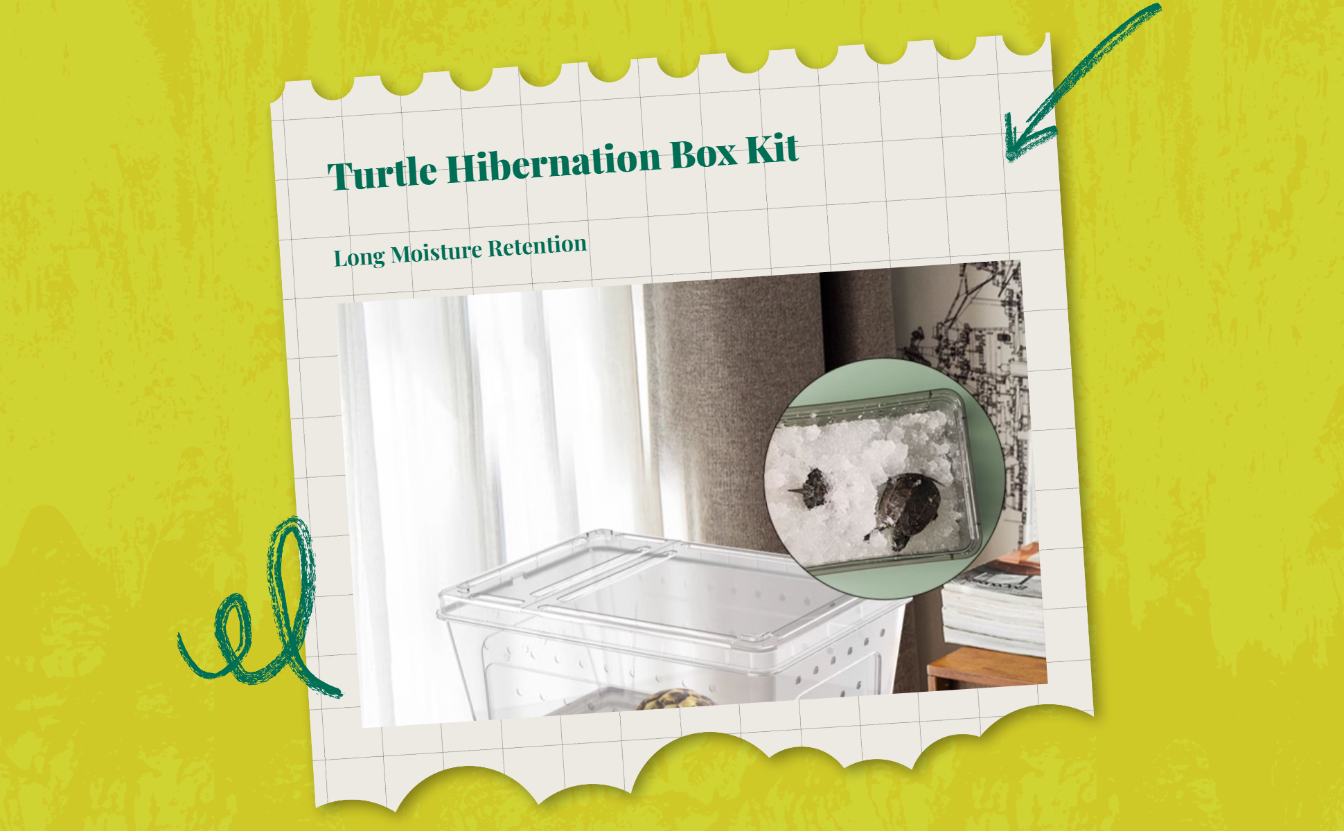 Turtle hibernation box retains moisture