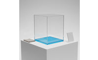 Dustproof Display Container Transparent Acrylic Display Container Rigid