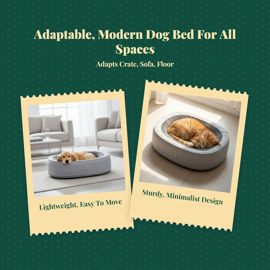 Orthopedic dog bed, thick padding