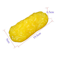 Anatomic Adipose Model Realistic Human Adipose Model Soft Texture Educational Tool for Wellness Center