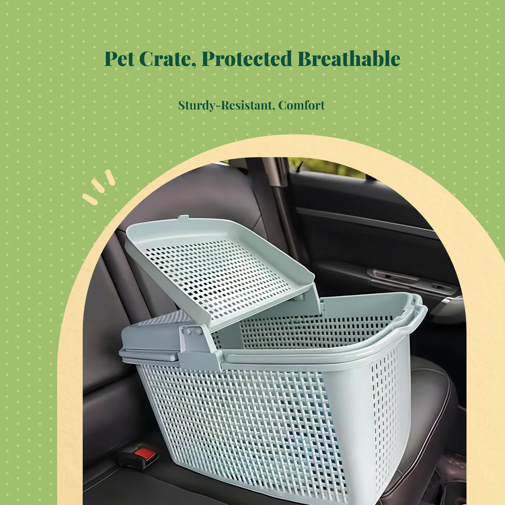 Foldable double pet travel carrier