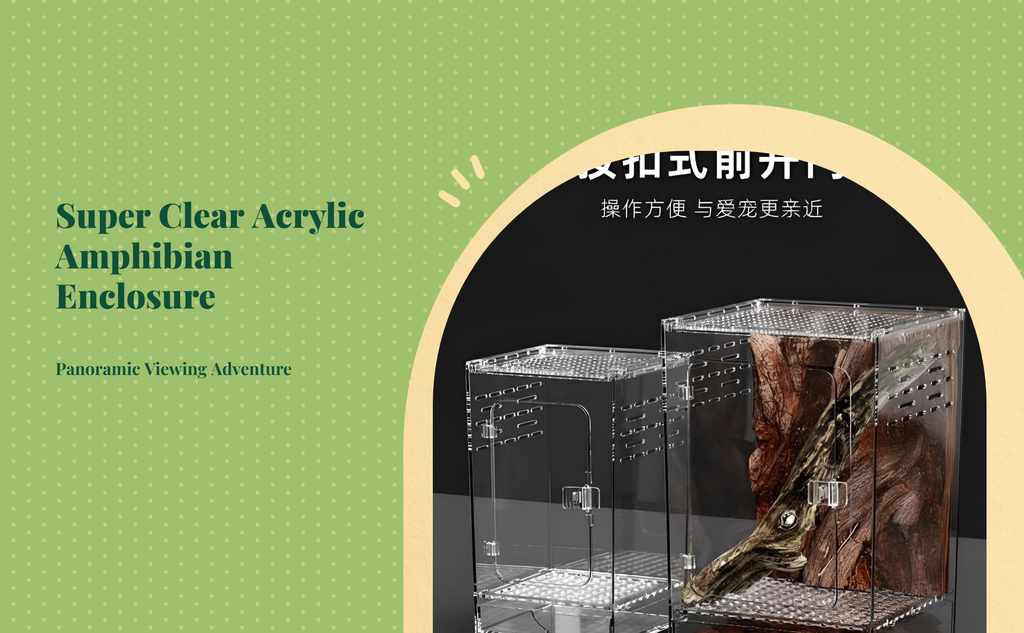Clear acrylic terrarium for arachnids, geckos