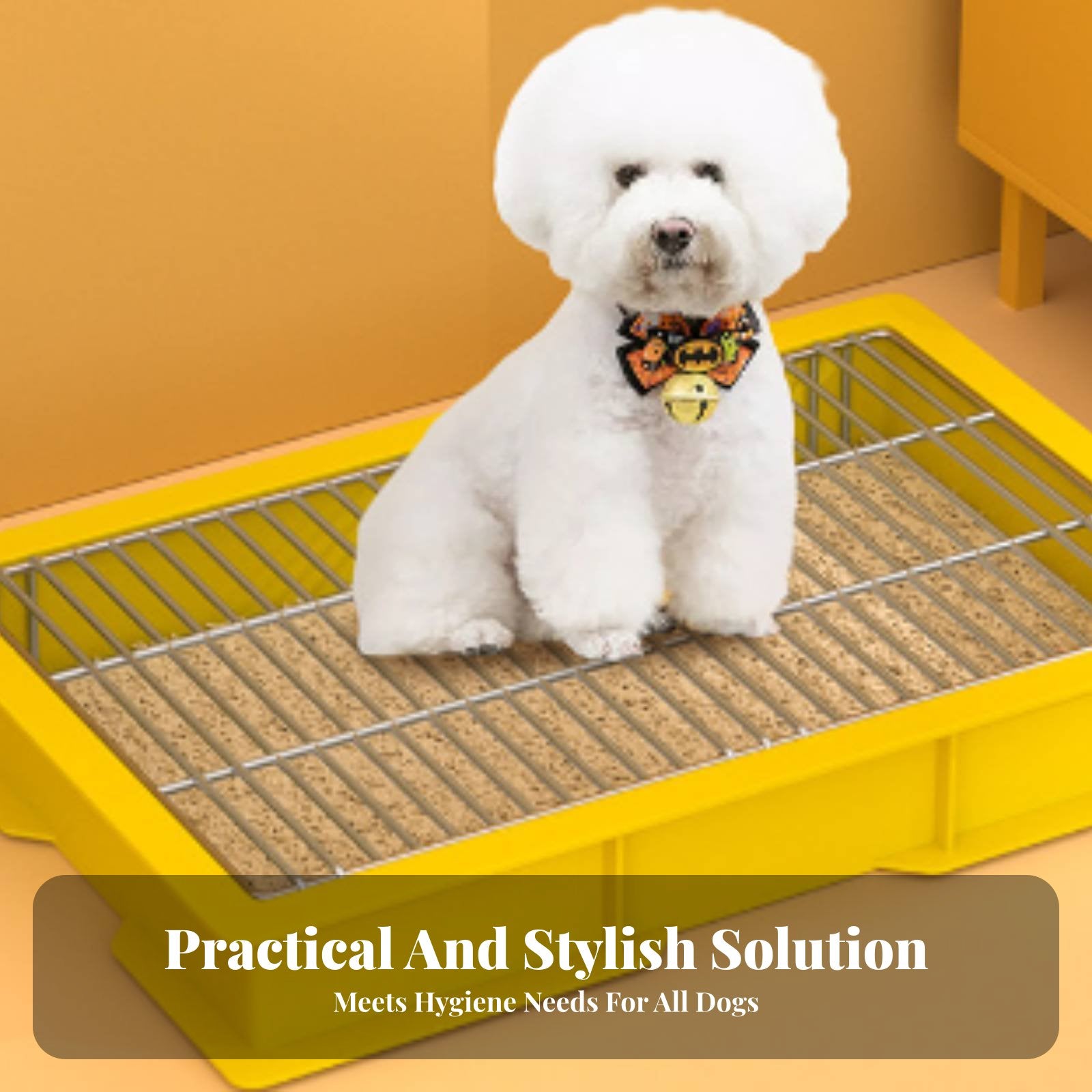 perforated surfaceded Dog Potty Tray with spray barrier Easy to Clean for Indoor, Home, young dogs