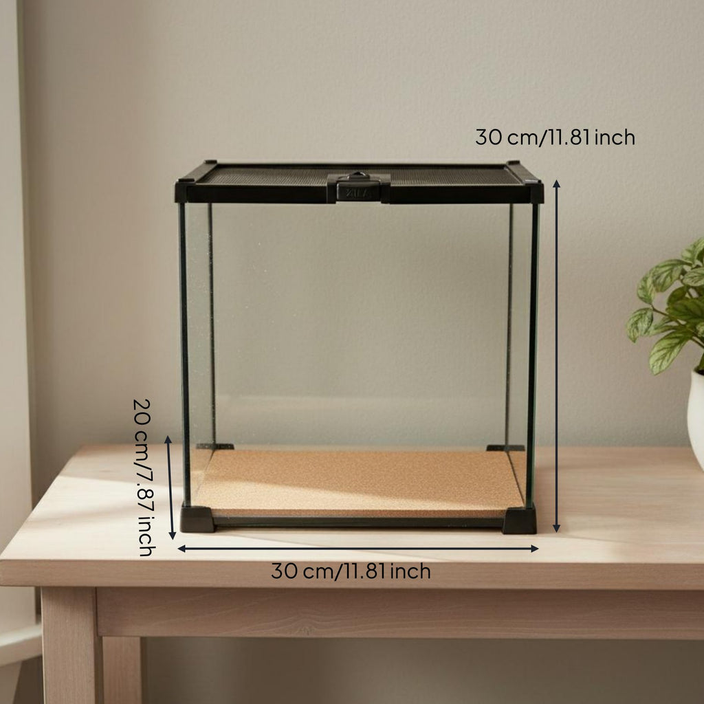 Glass Reptile Terrarium Top Ventilation Transparent Reptile Enclosure Portable Full View Amphibian Tank for Hobbyists