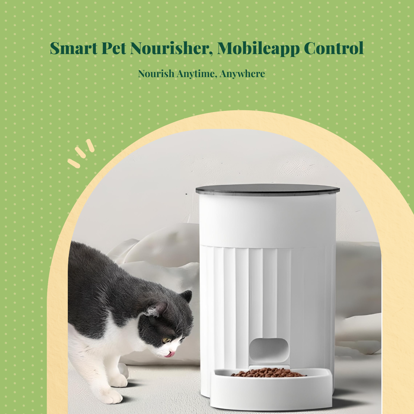 App-controlled timed cat feeder