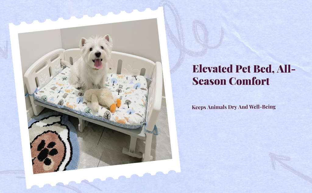Washable mesh pet bed, non-slip base.