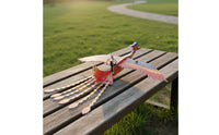 Electric Firebird Glider Circling Flight Foam Model Airplane Kit for Outdoor