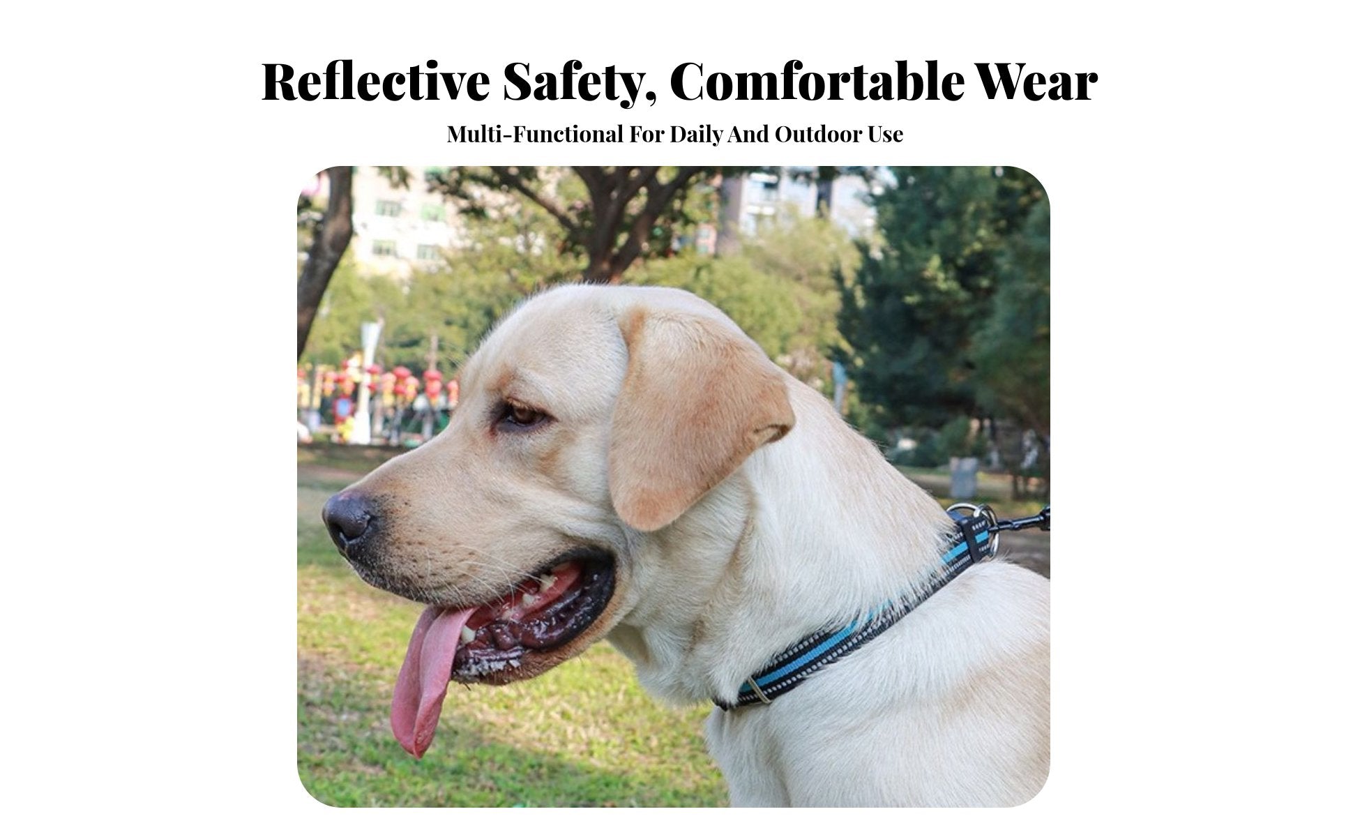 Long-Lasting Adjustable Nylon Pet Collar Comfortable Reflective Pet Collar Lightweight for Daily Walking, Training, Backyard