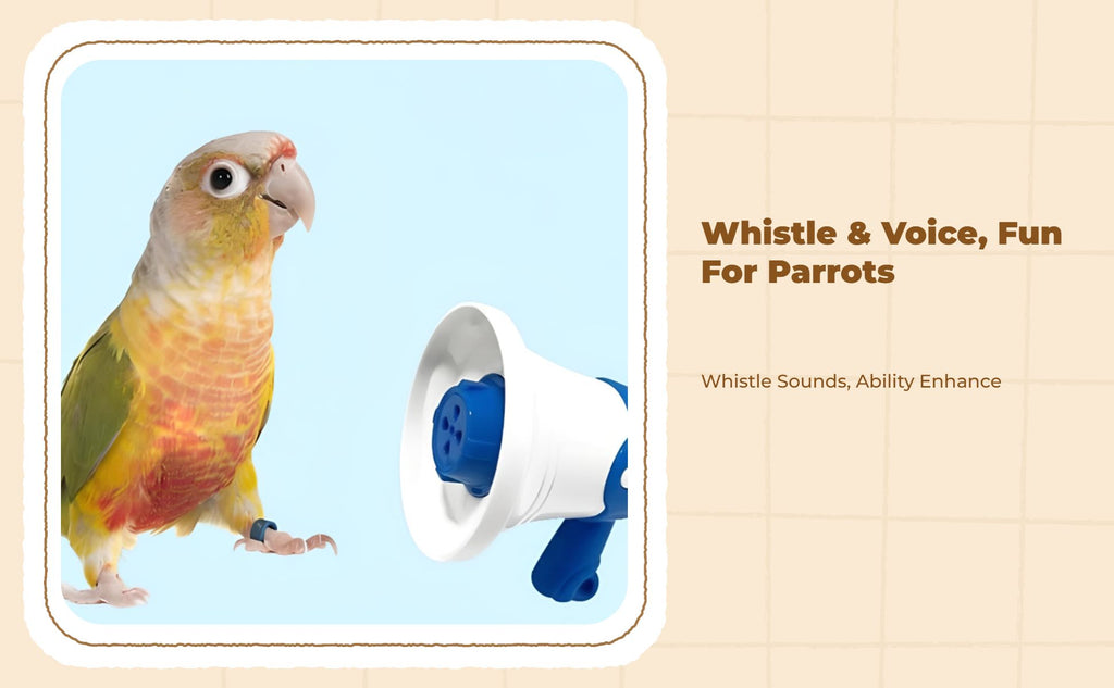 Parrot Trainer: Audio Recorder Speaker