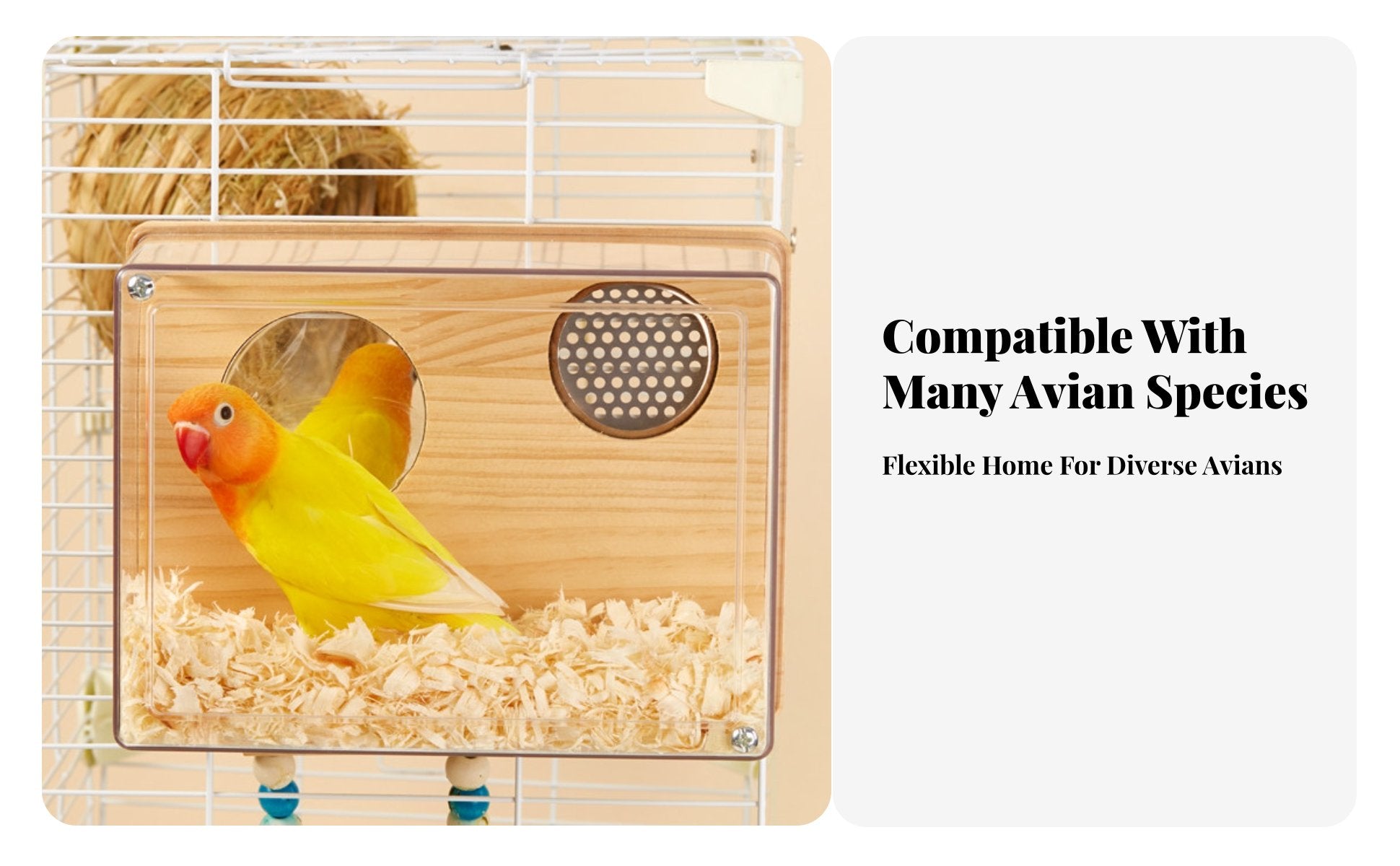 Transparent Breeding Box Keeps Warm avianhouse Easy Installation for Aviary, Home